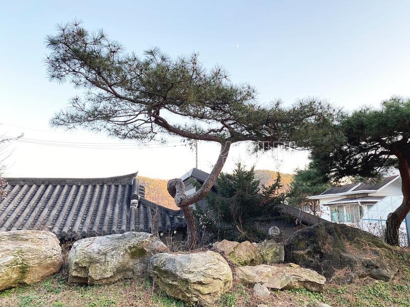 양평군 옥천면 신복리 가정집 1층원룸_13