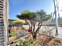 양평군 양서면 양수리 빛가람 빌리지_썸네일_3