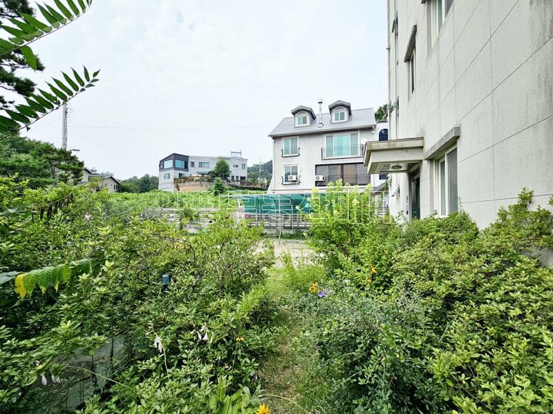 양평군 옥천면 아신리_13