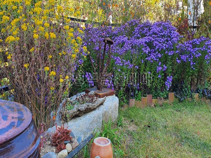 신원리 접근성 좋은주택_8