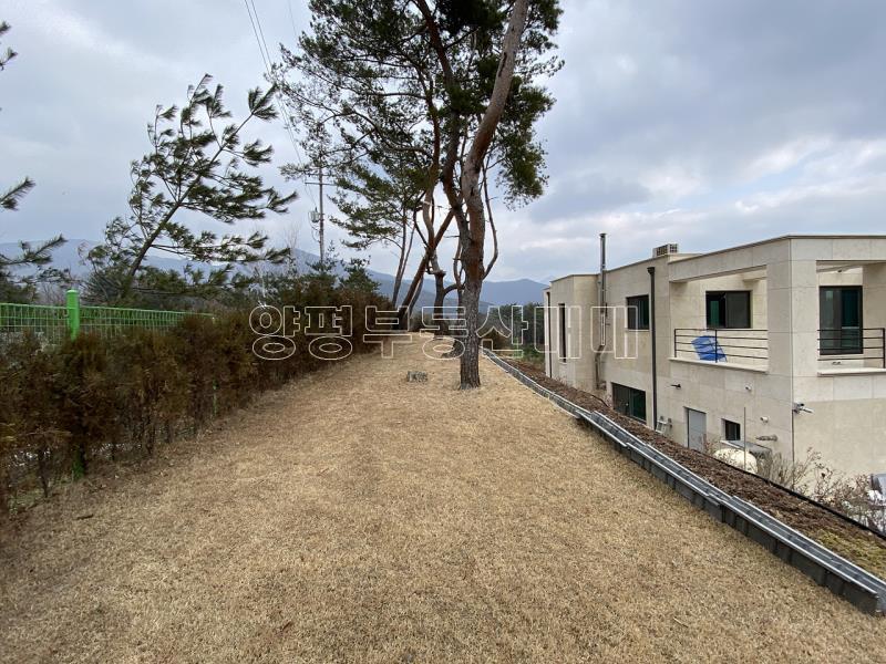 옥천면 신복리 300평 주택_6