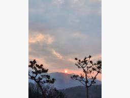 옥천면 신복리 300평 주택_썸네일_25