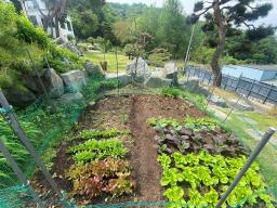 잘지은 한옥_썸네일_4