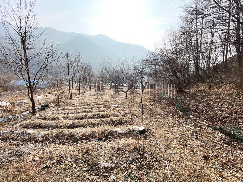 양평군 옥천면 용천리 전망좋은집_7