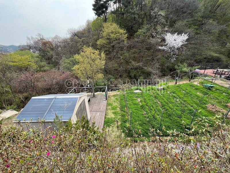 양평군 양서면 청계리 계곡접 숲이 접한곳_2