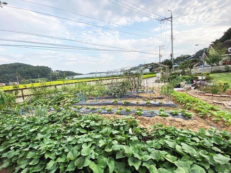 양평군 옥천면 신복리 동향의 집_3