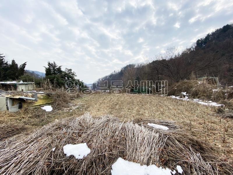 양평군 옥천면 신복리 도로변 근린상가 (음식점)_7