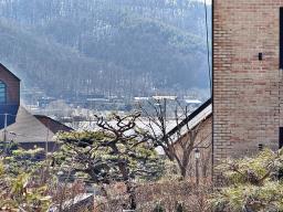 양평군 양서면 대심리 부유층 동네_썸네일_3
