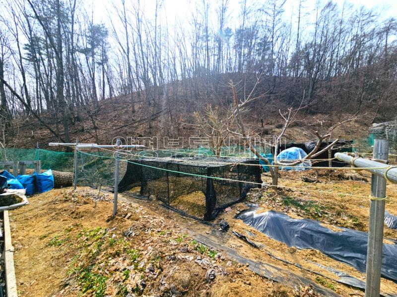 경기도 광주시 퇴촌면 영동리 전망좋은 휴양주택_8