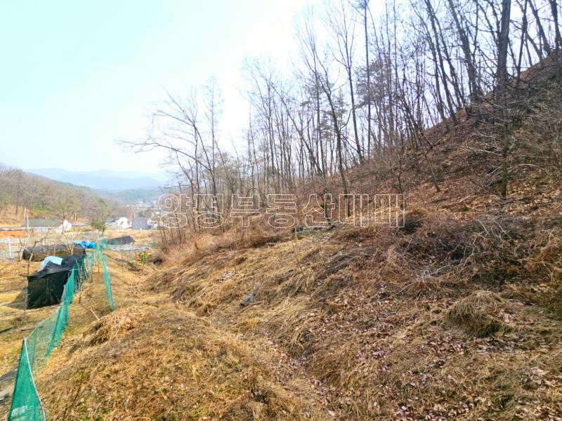 경기도 광주시 퇴촌면 영동리 전망좋은 휴양주택_18