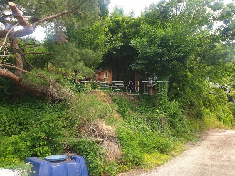 양평군 양서면 증동리 무허가 한옥(구옥)_2
