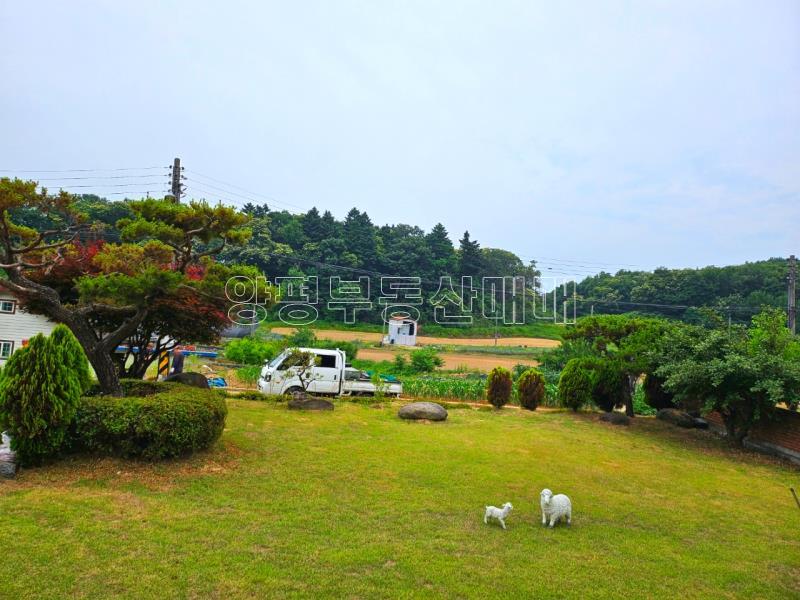 경기도 광주시 도척면 방도리 대지530평주택_23