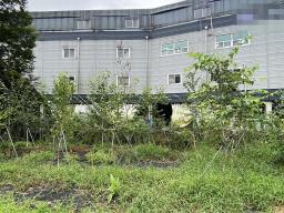 양평군 양서면 청계리 청계산 입구 계획관리 주택및 토지_썸네일_25