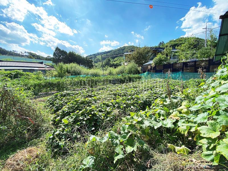 양평군 옥천면 아신리 8.5억에서 6.5억으로 급,인하매물_5