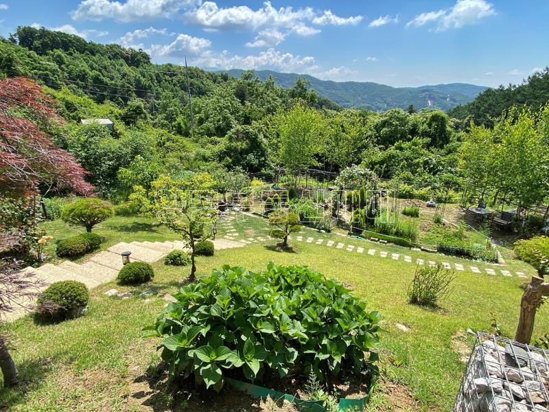 양평군 양서면 청계리 공기좋은 숲세권주택 매매(5억) 전세(4.5억)  가격인하7.5-5억_6