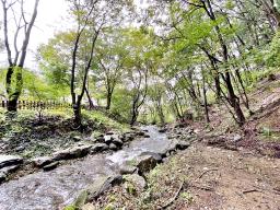 양평군 양서면 목왕리 계곡인접 과 도로 접근성좋은 주택
