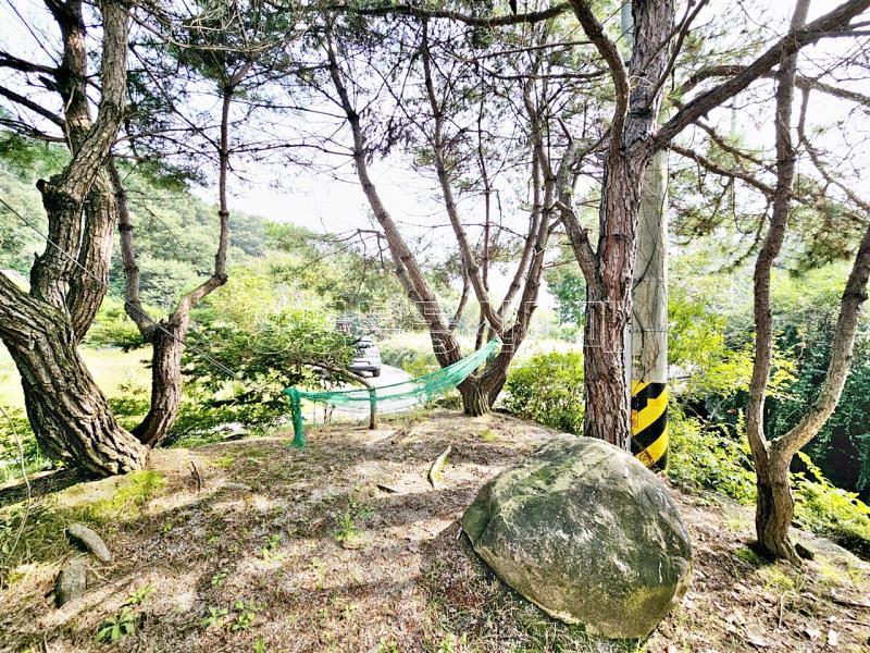 양평군 옥천면 신복리 숲세권주택_14