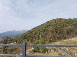 양평군 옥천면 신복리 숲세권주택_썸네일_15