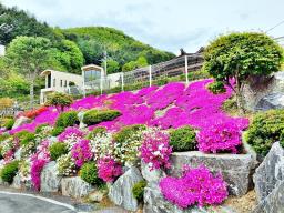 강원도 홍천군 서면 굴업리 공기좋은곳_썸네일_5