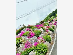 강원도 홍천군 서면 굴업리 공기좋은곳_썸네일_6