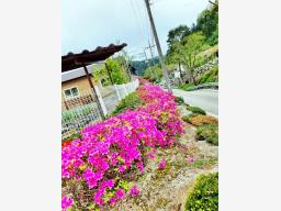 강원도 홍천군 서면 굴업리 공기좋은곳_썸네일_7