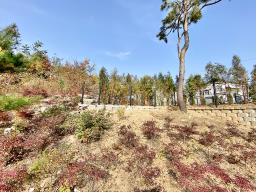 양평군 양서면 증동리 주말주택 1.2억_썸네일_13