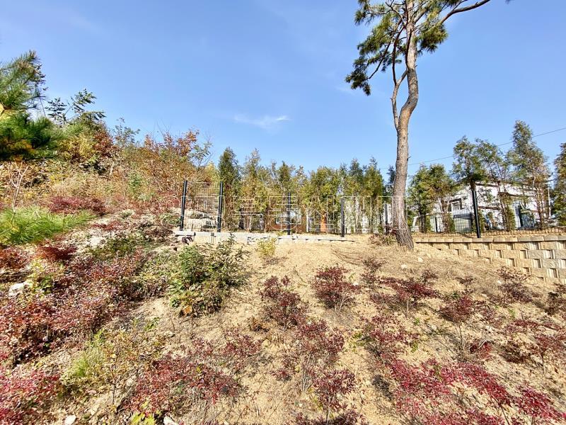 양평군 양서면 증동리 주말주택 1.2억_13