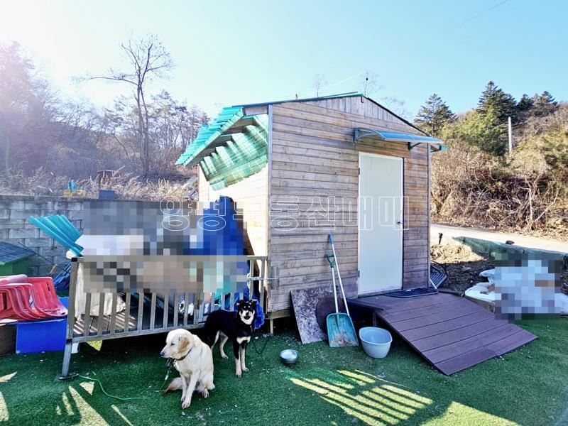 경기도 광주시 퇴촌면 영동리 전세_10