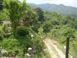 양ㅇ평군 옥천면 신복리 전망좋은 펜션_썸네일_4