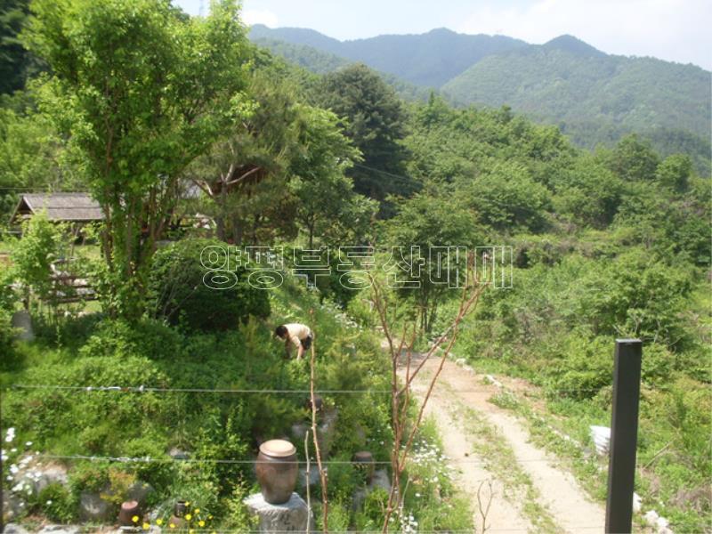양ㅇ평군 옥천면 신복리 전망좋은 펜션_4