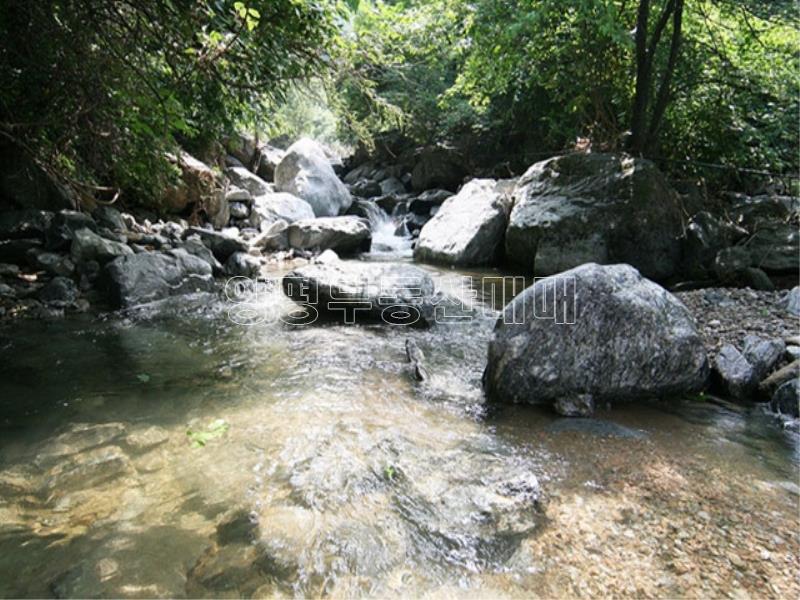 양평군 옥천면 신복리 남향으로 전망좋은펜션_8