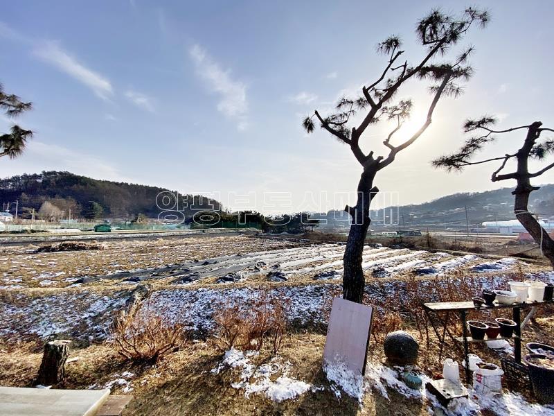 양평군 옥천면 신복리 평지의 경관좋은 1층주택_21
