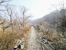 양평군 양서면 양수리 한적한 지역의1층주택_썸네일_5