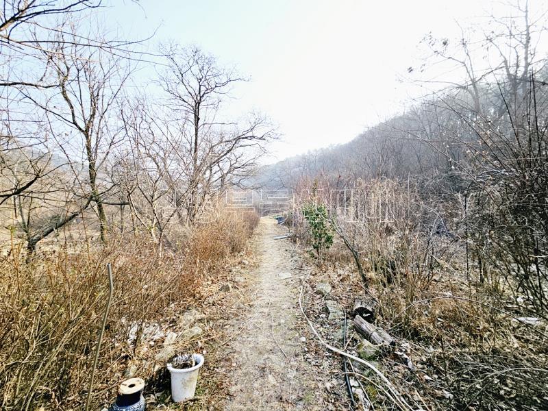 양평군 양서면 양수리 한적한 지역의1층주택_5