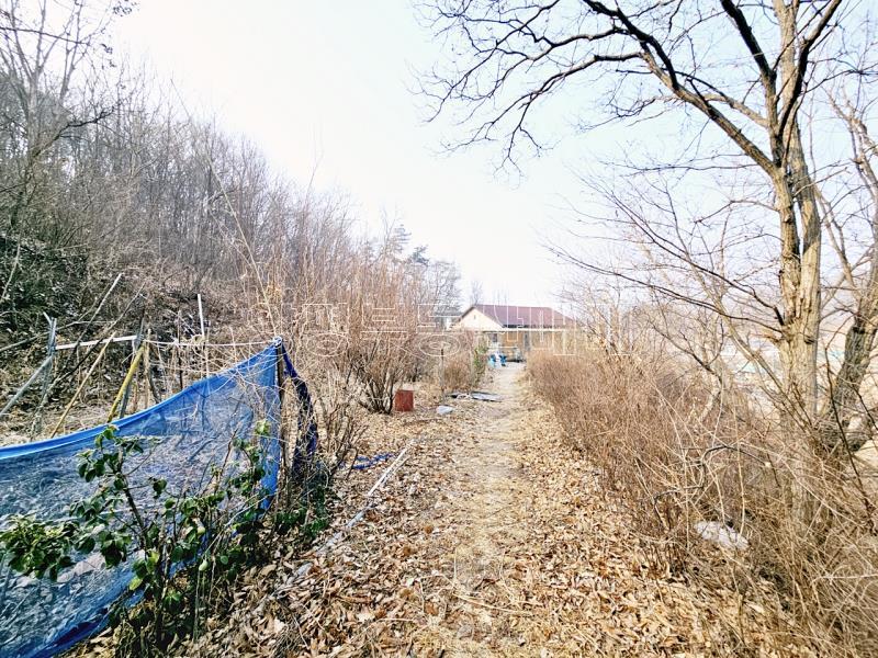 양평군 양서면 양수리 한적한 지역의1층주택_9