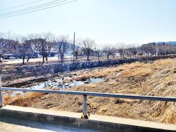 양평군 옥천면 옥천리 동,남향주택_썸네일_2