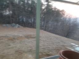 양평군 양서면 대심리 산속의 전원주택 (두가구가 가능한 주택)_썸네일_9