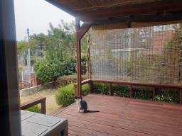 양평군 양서면 복포리 남향의 잘정돈된 단지_썸네일_9