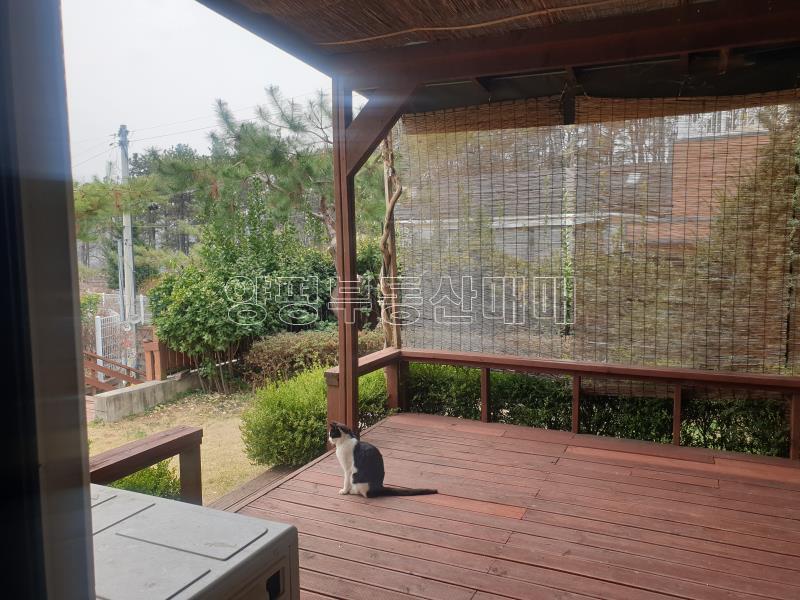 양평군 양서면 복포리 남향의 잘정돈된 단지_9