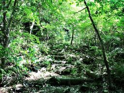 경기도 광주시 퇴촌면 4층건물 통매매_썸네일_20