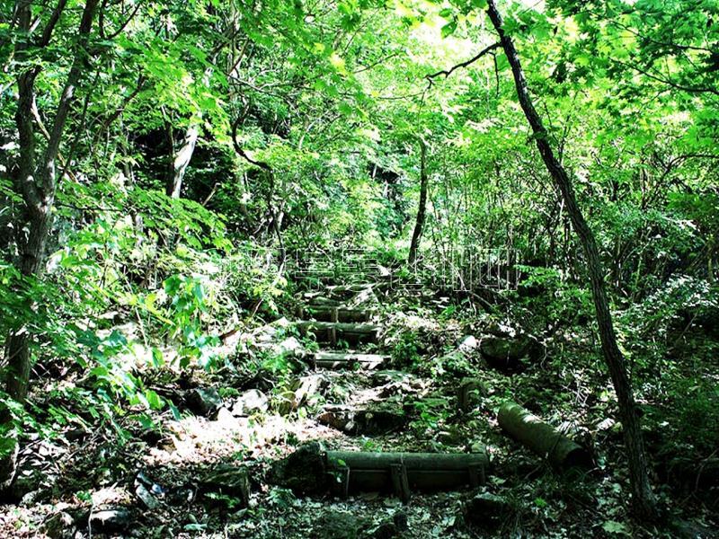 경기도 광주시 퇴촌면 4층건물 통매매_20