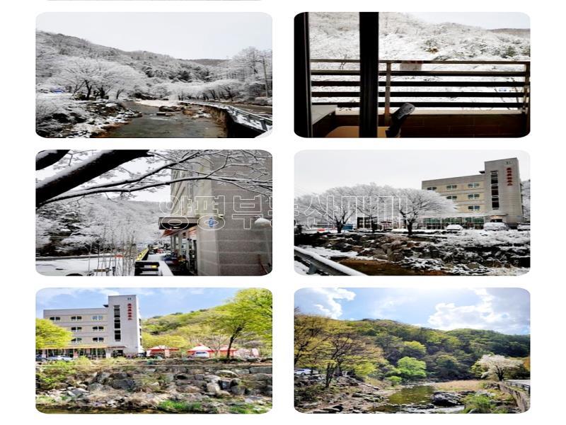 경기도 광주시 퇴촌면 4층건물 통매매_24