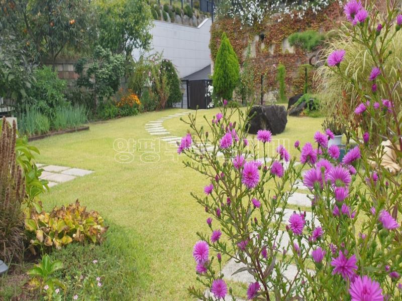 양평군 양서면 대심리 최고의 단지이며 강조망과 이조권이 보장된집_10