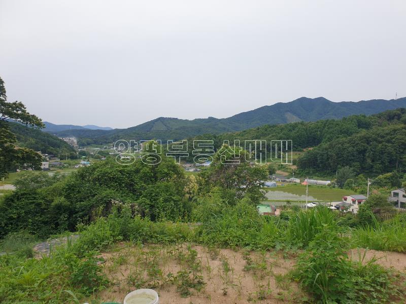 양평군 개군면 공세리 신축단지 1차분양 (송화빌리지)_19