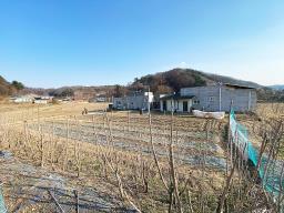양평군 양서면 증동리 단층으로 평탄지의 편안한집_썸네일_7