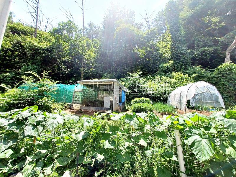 양평군 양서면 국수리 역세권주택_1
