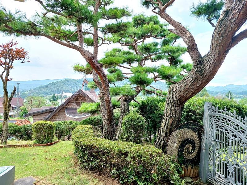 양평군 양서먄 대심리 강조망 주택_18