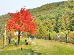 경기도 광주시 퇴촌면 영동리 모던한주택_썸네일_22