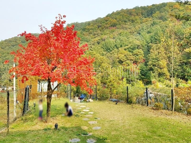 경기도 광주시 퇴촌면 영동리 모던한주택_22