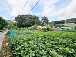 양평군 옥천면 신복리 월세1천/70만원_썸네일_12